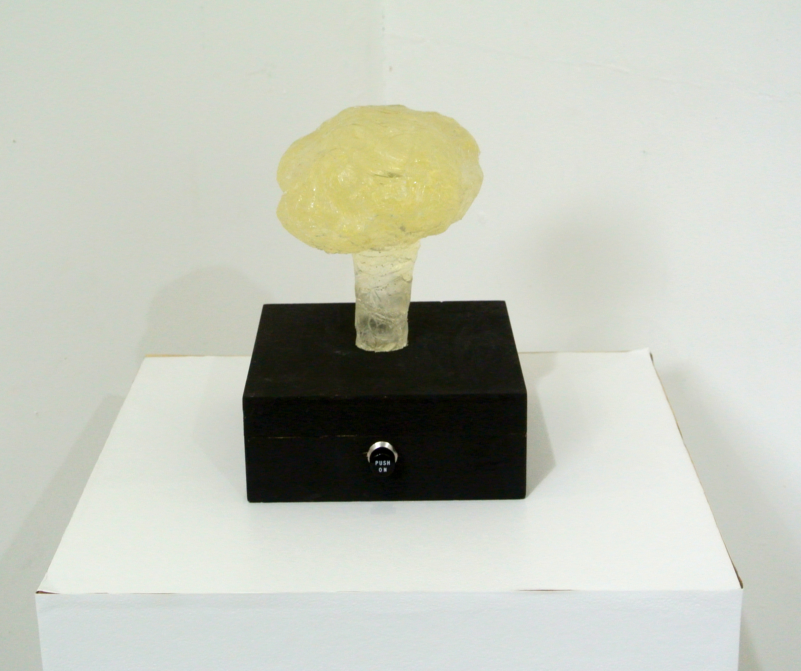 I'm broccoli 2015年制作　250×180×180